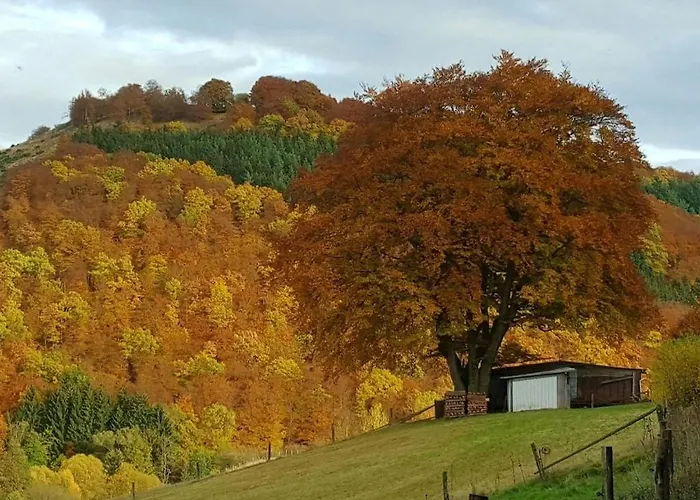 With 1 Bedroom Holiday home